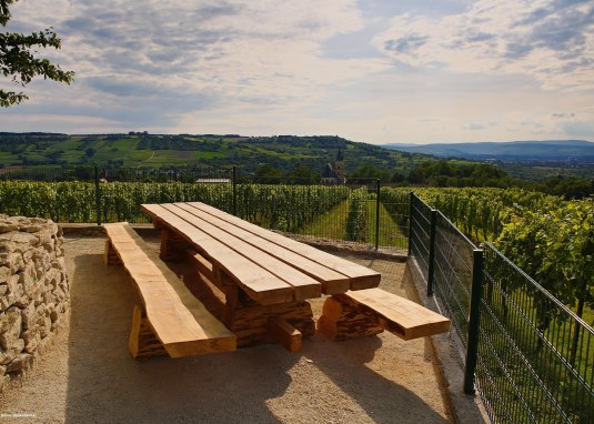 Tisch des Weines oberhalb des Wasserhäuschens © Rainer Oppenheimer/Stadt Ingelheim Tisch des Weines oberhalb des Wasserhäuschens © Rainer Oppenheimer/Stadt Ingelheim