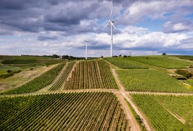 Hahnheimer Knopf Hahnheimer Knopf