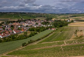 Gau-Weinheimer Geyersberg Gau-Weinheimer Geyersberg