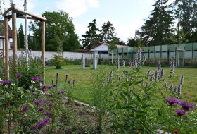 Wohnmobilstellplatz Weingut Schales © Weingut Schales Wohnmobilstellplatz Weingut Schales © Weingut Schales