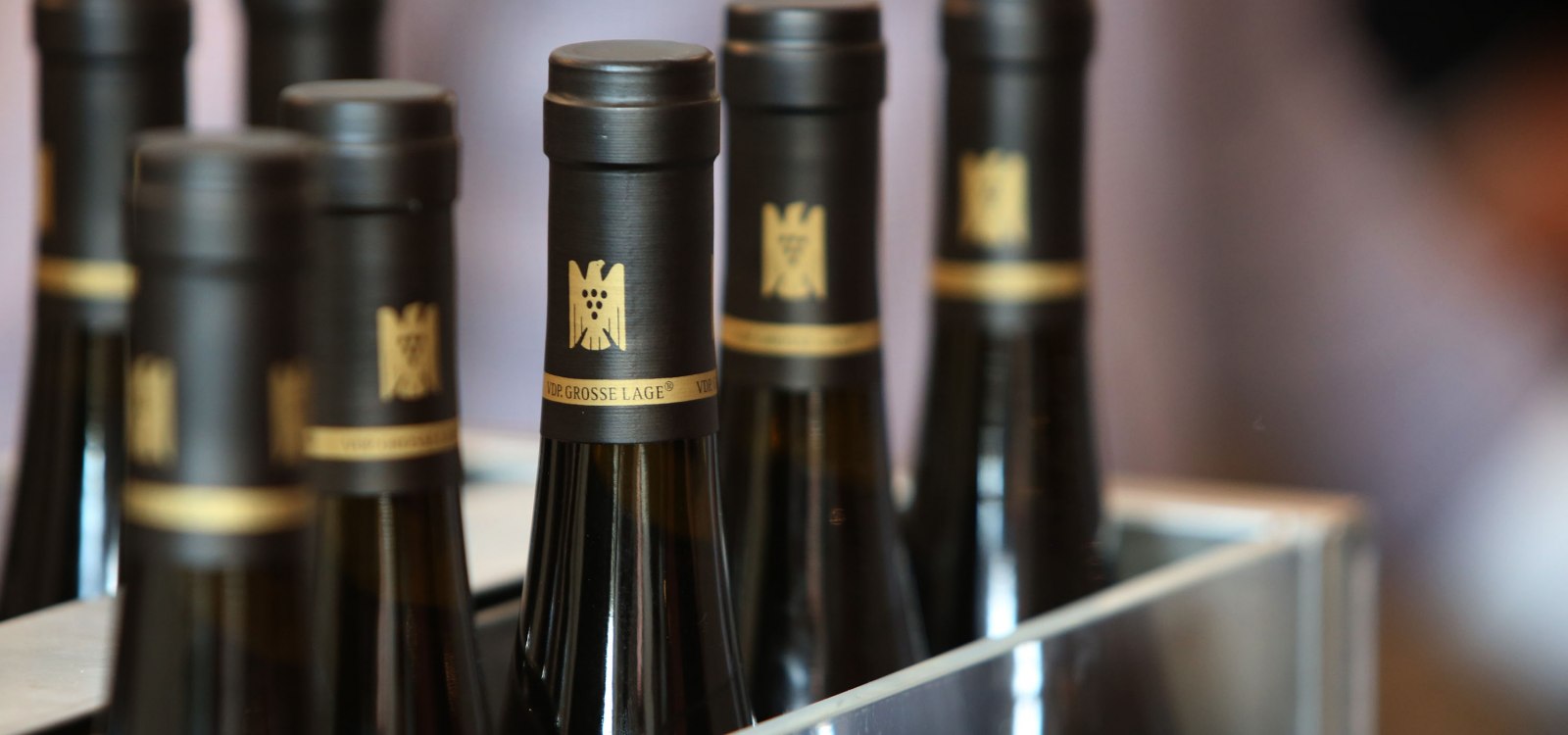 VDP Large greenhouse bottles VDP Large greenhouse bottles