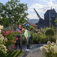 Garten mit altem Kran im Hintergrund © Klaus-Peter Kappest Garten mit altem Kran im Hintergrund © Klaus-Peter Kappest