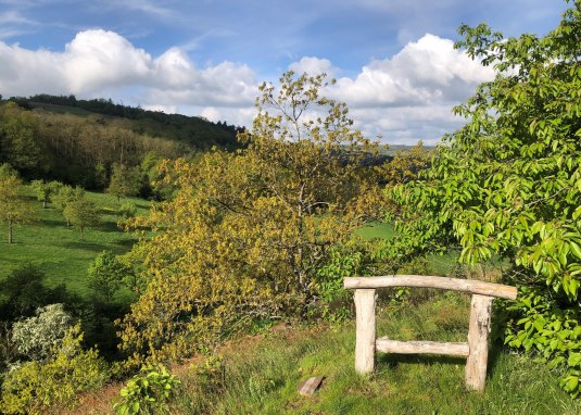 Küchenschellenhang Küchenschellenhang