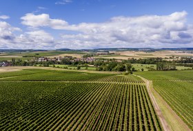 Badenheimer Galgenberg Badenheimer Galgenberg