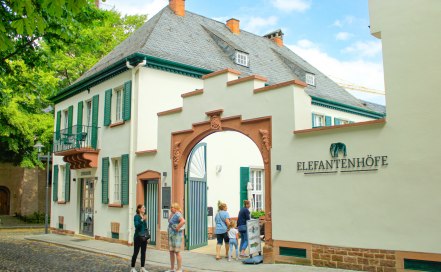 Elfeantenhöfe in Worms, © Annkatrin König Elfeantenhöfe in Worms, © Annkatrin König