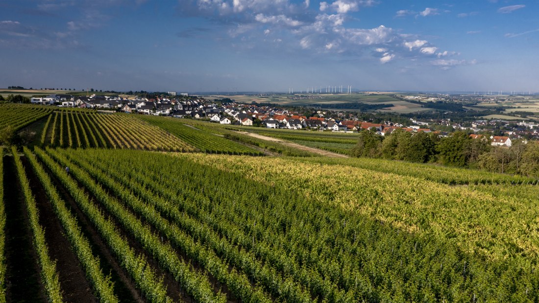 Nieder-Olmer Klosterberg Nieder-Olmer Klosterberg