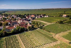 Dalsheimer Bürgel Dalsheimer Bürgel