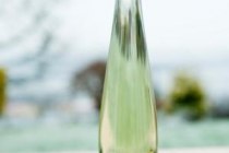 Sauvignon_blanc, © Gut Erbes Sauvignon_blanc, © Gut Erbes