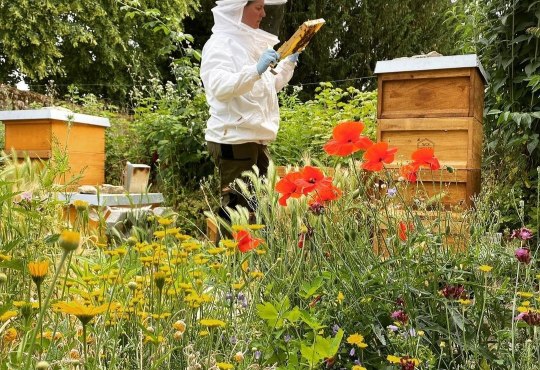Woi Honey Ingelheim, © Ines Bischmann Woi Honey Ingelheim, © Ines Bischmann
