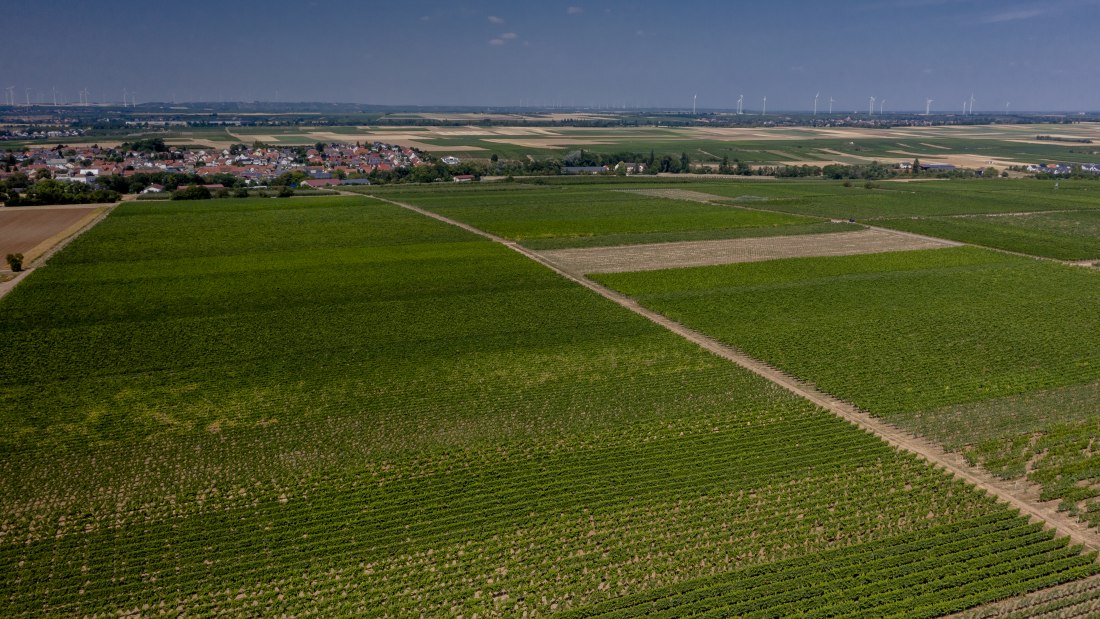 Offsteiner Engelsberg Offsteiner Engelsberg