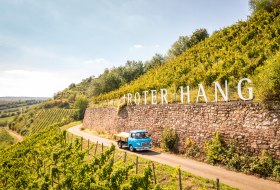 RPT-Stein auf Stein-Rheinhessen-2021-035-Roter Hang Nierstein_ RPT-Stein auf Stein-Rheinhessen-2021-035-Roter Hang Nierstein_