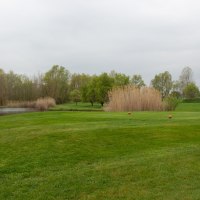 Golf-Club Worms e.V. - Green Golf-Club Worms e.V. - Green