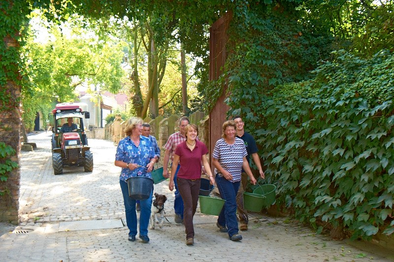 20110927_d7r_3435_preview, © Weingut Kapellenhof 20110927_d7r_3435_preview, © Weingut Kapellenhof