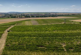 Gau-Odernheimer Ölberg © Torsten Silz Gau-Odernheimer Ölberg © Torsten Silz