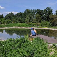 Teich im Nabu Zentrum © Nabu Zentrum Rheinauen Teich im Nabu Zentrum © Nabu Zentrum Rheinauen