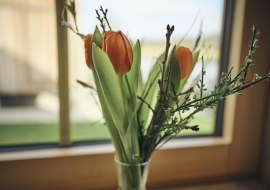 OBS_Nittenau_GIP1575_1600px OBS_Nittenau_GIP1575_1600px