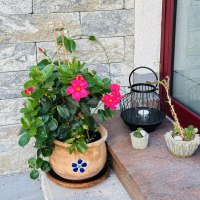 Blumenschmuck Blumenschmuck