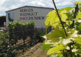 Weingut Bacchushof Dexheim 01, © Lothar Krug Weingut Bacchushof Dexheim 01, © Lothar Krug