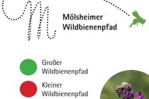 Wegelogo Mölsheimer Wildbienenpfad, © Mölsheimer Wildbienenpfad