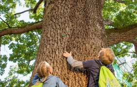 Kinder mit Hiwwelsack © Rheinhessen-Touristik Kinder mit Hiwwelsack © Rheinhessen-Touristik