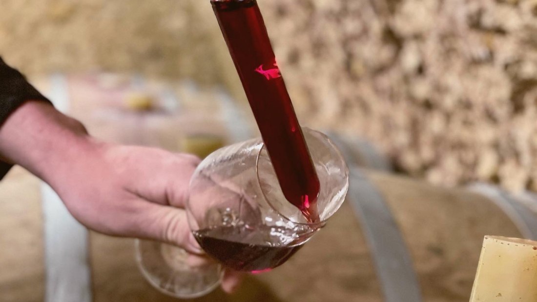 Weingut Boxheimerhof_Rotwein, © Weingut Boxheimerhof Weingut Boxheimerhof_Rotwein, © Weingut Boxheimerhof