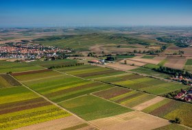 Biebelnheimer Pilgerstein Biebelnheimer Pilgerstein