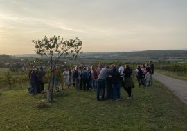 Weingut Gustavshof Weingut Gustavshof