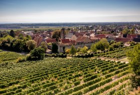 Dahlsheimer Bürgel DJI_0388 Dahlsheimer Bürgel DJI_0388