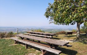 Tische des Weines © Tourist Info Tische des Weines © Tourist Info