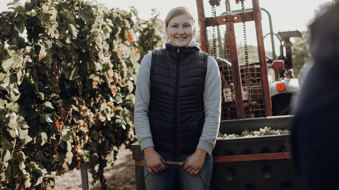 © Weingut Bernhard © Weingut Bernhard