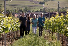 Weingut Baum Weingut Baum