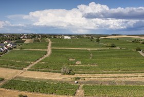 Lörzweiler Königstuhl Lörzweiler Königstuhl