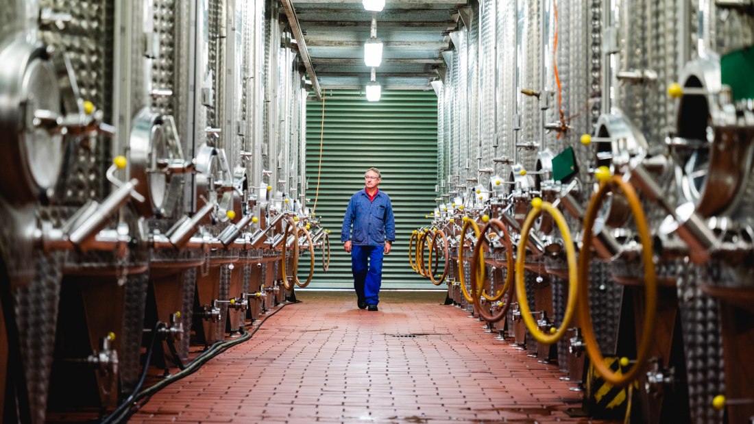 Wein- und Sektkellerei Jakob Gerhardt_Keller 2, © Wein- und Sektkellerei Jakob Gerhardt Wein- und Sektkellerei Jakob Gerhardt_Keller 2, © Wein- und Sektkellerei Jakob Gerhardt