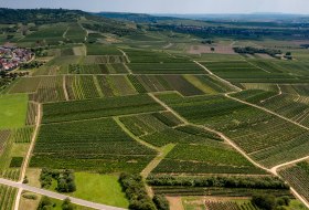 Ockenheimer Hockenmühle Ockenheimer Hockenmühle