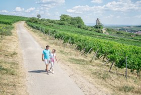 Wanderer auf dem Zellertalweg © Pfalz.Touristik e. V., Florian Trykowski Wanderer auf dem Zellertalweg © Pfalz.Touristik e. V., Florian Trykowski