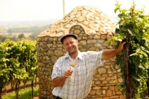 Weinhof Schreiber_Winzer, © Weinhof Schreiber Weinhof Schreiber_Winzer, © Weinhof Schreiber