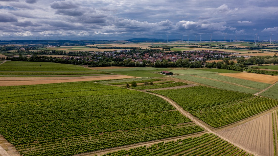 Gau-Weinheimer Geyersberg Gau-Weinheimer Geyersberg