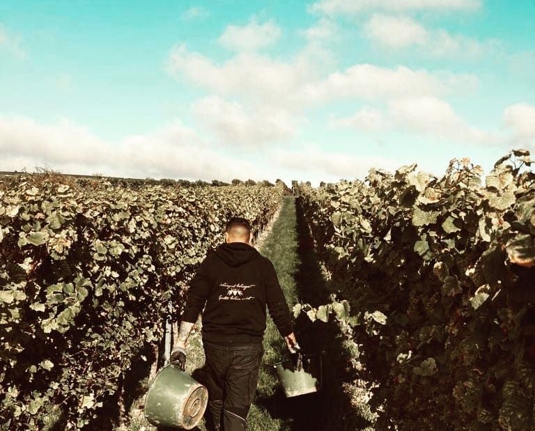 © Weingut Wissgott © Weingut Wissgott