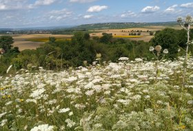 Naturwanderung © Conny Schermer Naturwanderung © Conny Schermer
