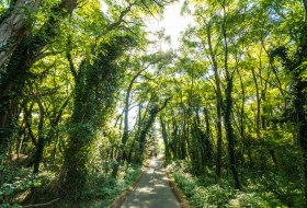 Rheinhessen-2016-E-Bike-059 Rheinhessen-2016-E-Bike-059