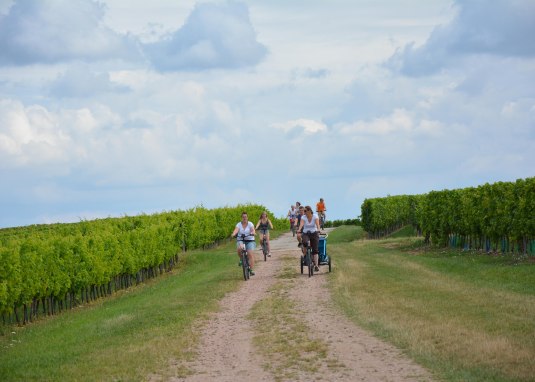 Elsemer-Tour1 © Angelika Friedrich Elsemer-Tour1 © Angelika Friedrich