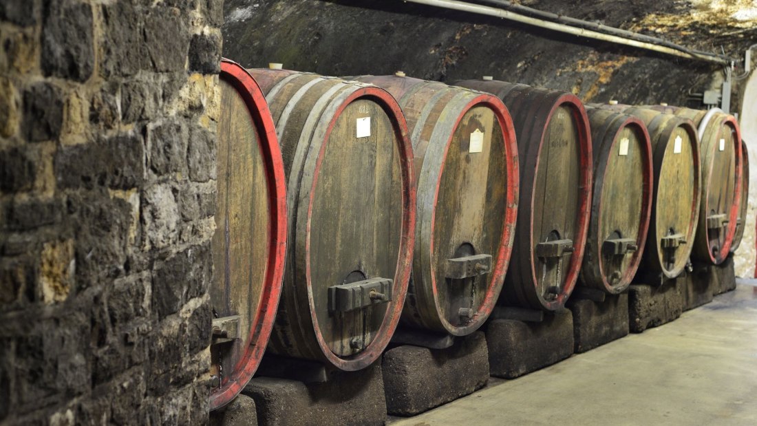 Weingut Jung & Knobloch_Holzfaesser, © Weingut Jung & Knobloch Weingut Jung & Knobloch_Holzfaesser, © Weingut Jung & Knobloch