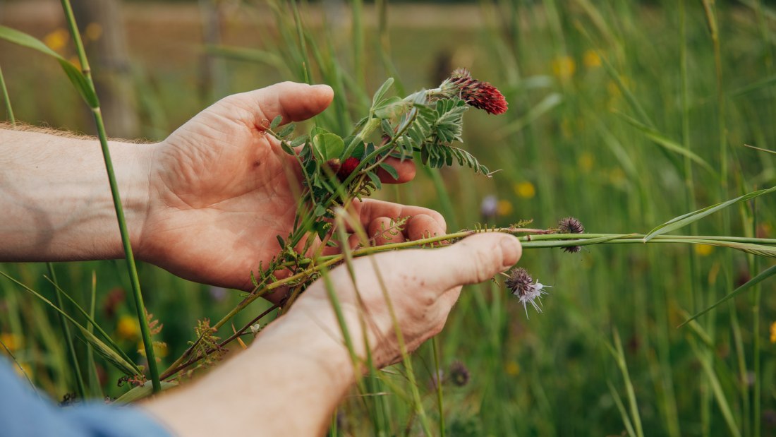 krugerrumpf_0521_©peterbender_0046_WEB, © Peter Bender krugerrumpf_0521_©peterbender_0046_WEB, © Peter Bender