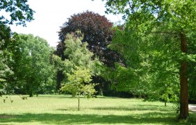 Wormser Wäldchen © Stadt Worms Wormser Wäldchen © Stadt Worms