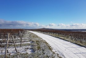 Winter in Rheinhessen © Udo Diel Winter in Rheinhessen © Udo Diel