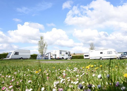 Camping auf dem Gutenbornerhof © Weingut Gutenbornerhof Camping auf dem Gutenbornerhof © Weingut Gutenbornerhof
