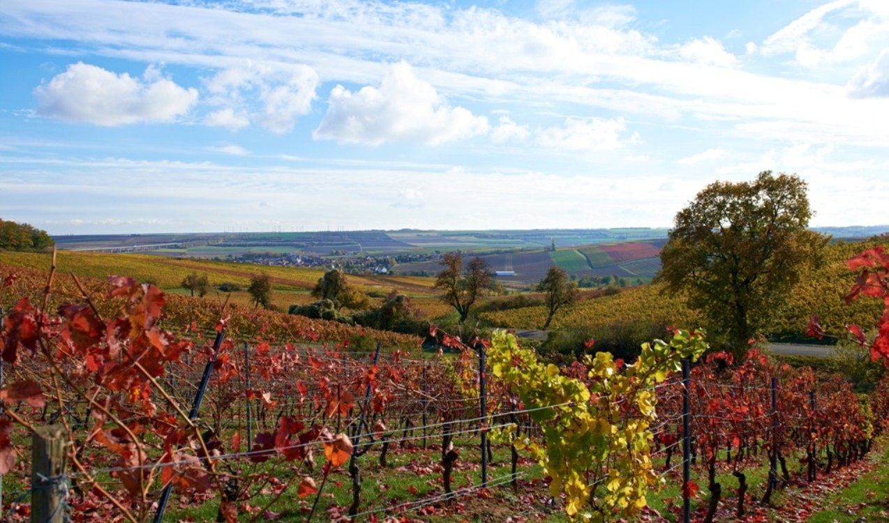 Farbenpracht im Herbst Farbenpracht im Herbst
