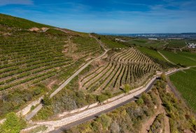 Binger Scharlachberg Binger Scharlachberg