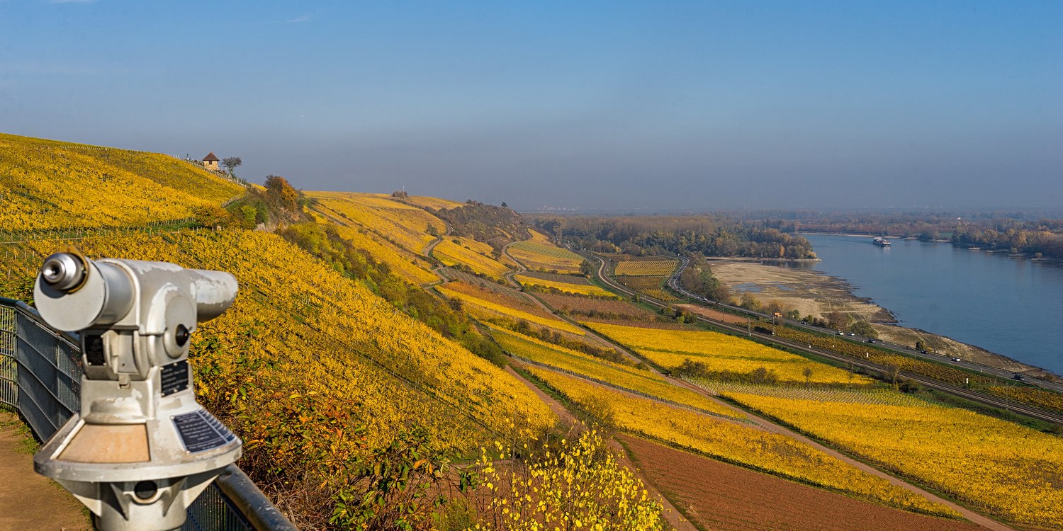 RheinTerrassenWeg im Herbst Blick vom Roten Hang, © Karl-Georg Müller RheinTerrassenWeg im Herbst Blick vom Roten Hang, © Karl-Georg Müller