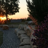 Romantik pur © Schäffer Weinolsheim Romantik pur © Schäffer Weinolsheim